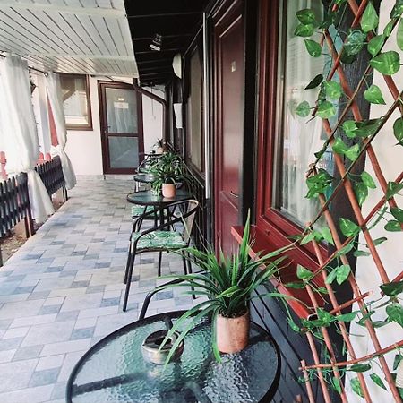 Pensiunea Red Rose Apartments Тимишоара Екстериор снимка