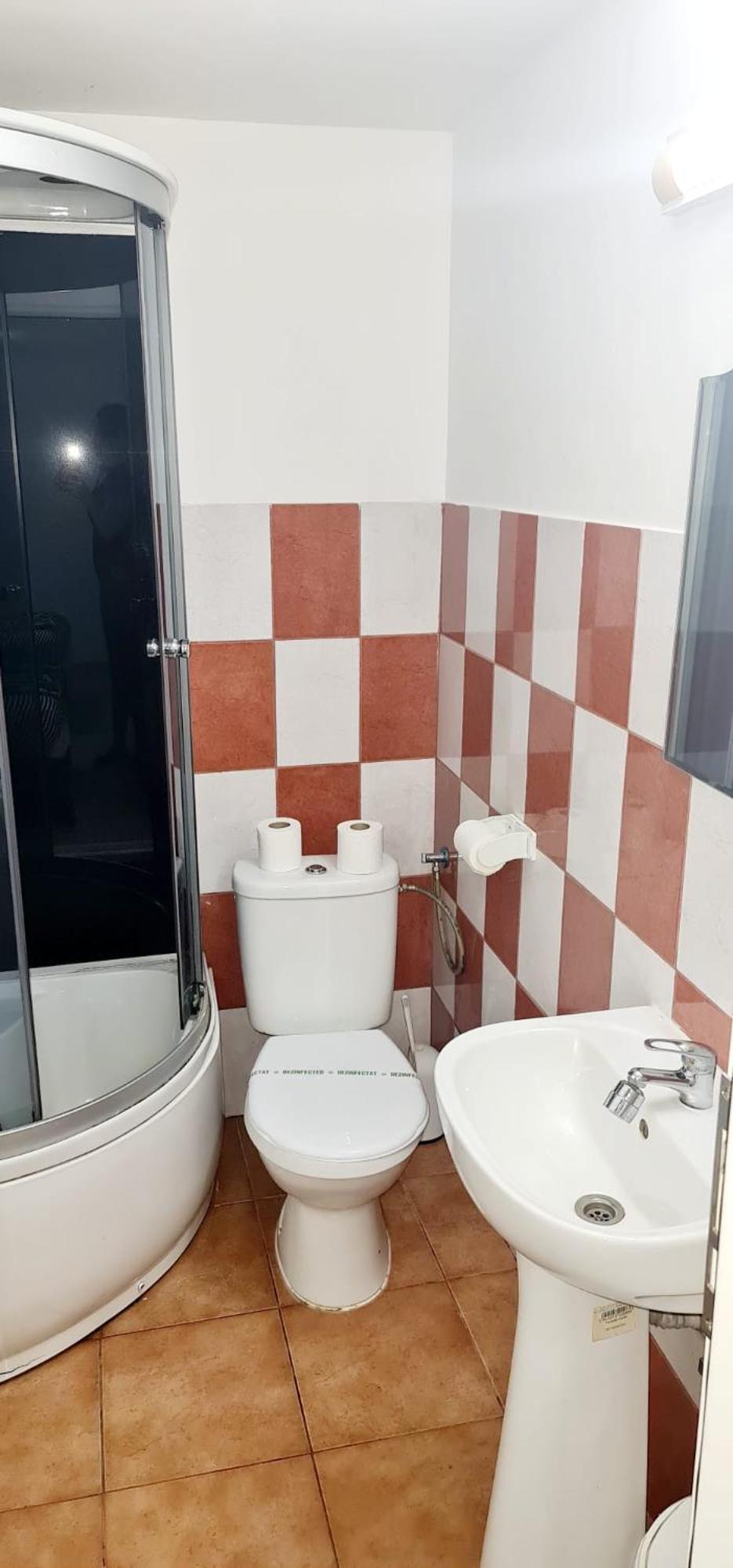 Pensiunea Red Rose Apartments Тимишоара Екстериор снимка