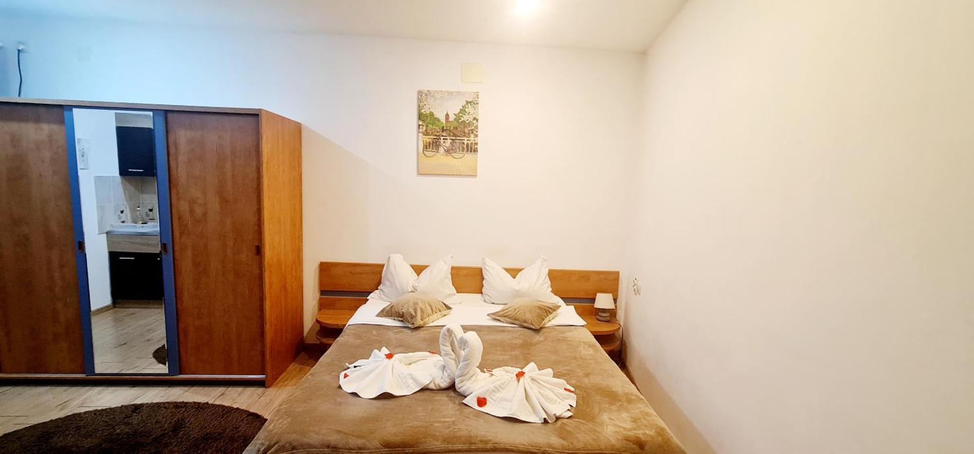 Pensiunea Red Rose Apartments Тимишоара Стая снимка
