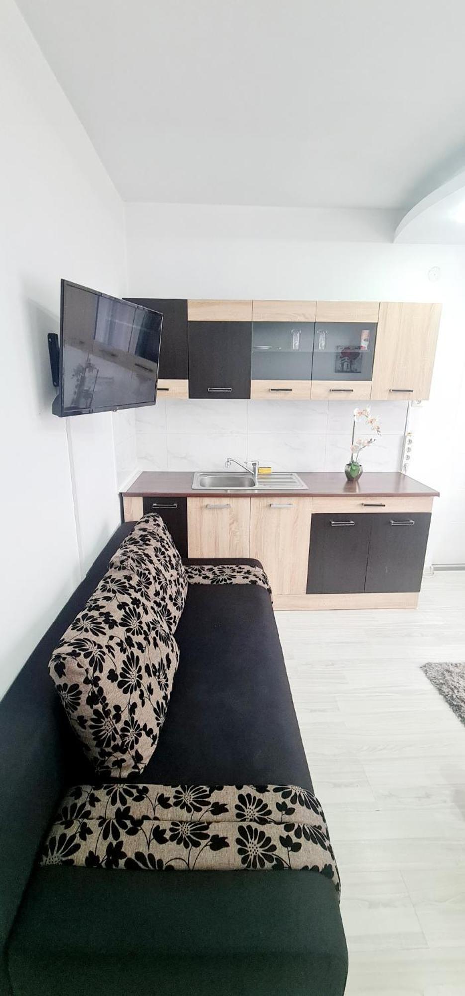 Pensiunea Red Rose Apartments Тимишоара Екстериор снимка