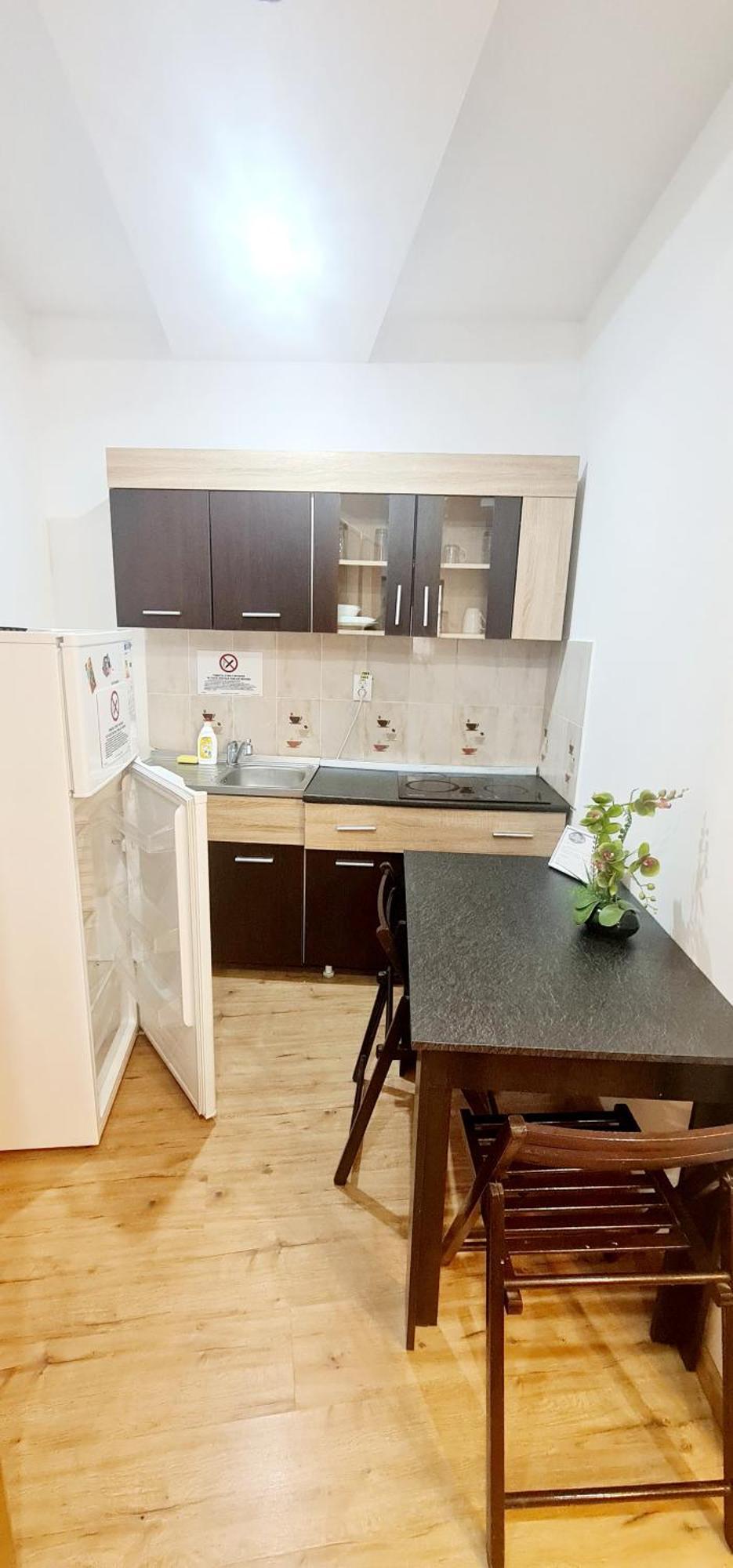 Pensiunea Red Rose Apartments Тимишоара Екстериор снимка