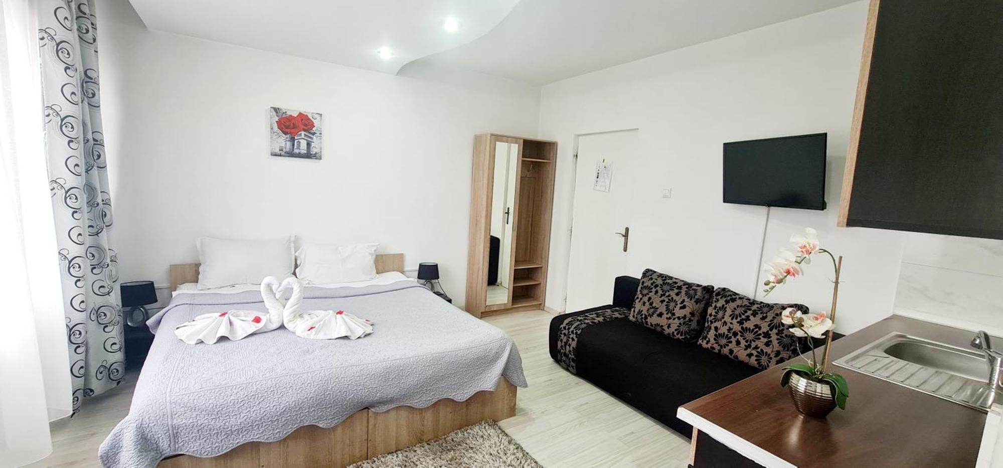 Pensiunea Red Rose Apartments Тимишоара Екстериор снимка