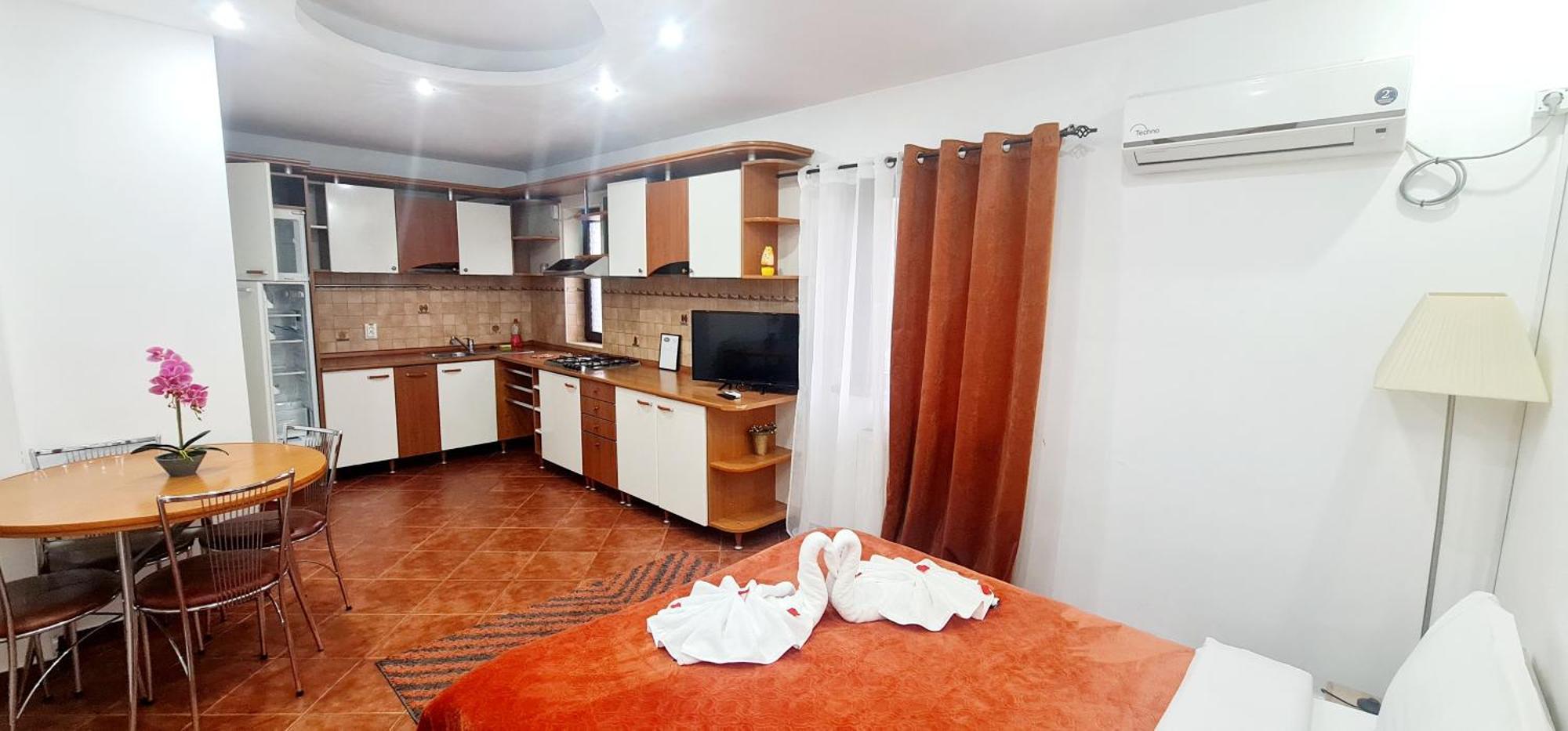 Pensiunea Red Rose Apartments Тимишоара Екстериор снимка