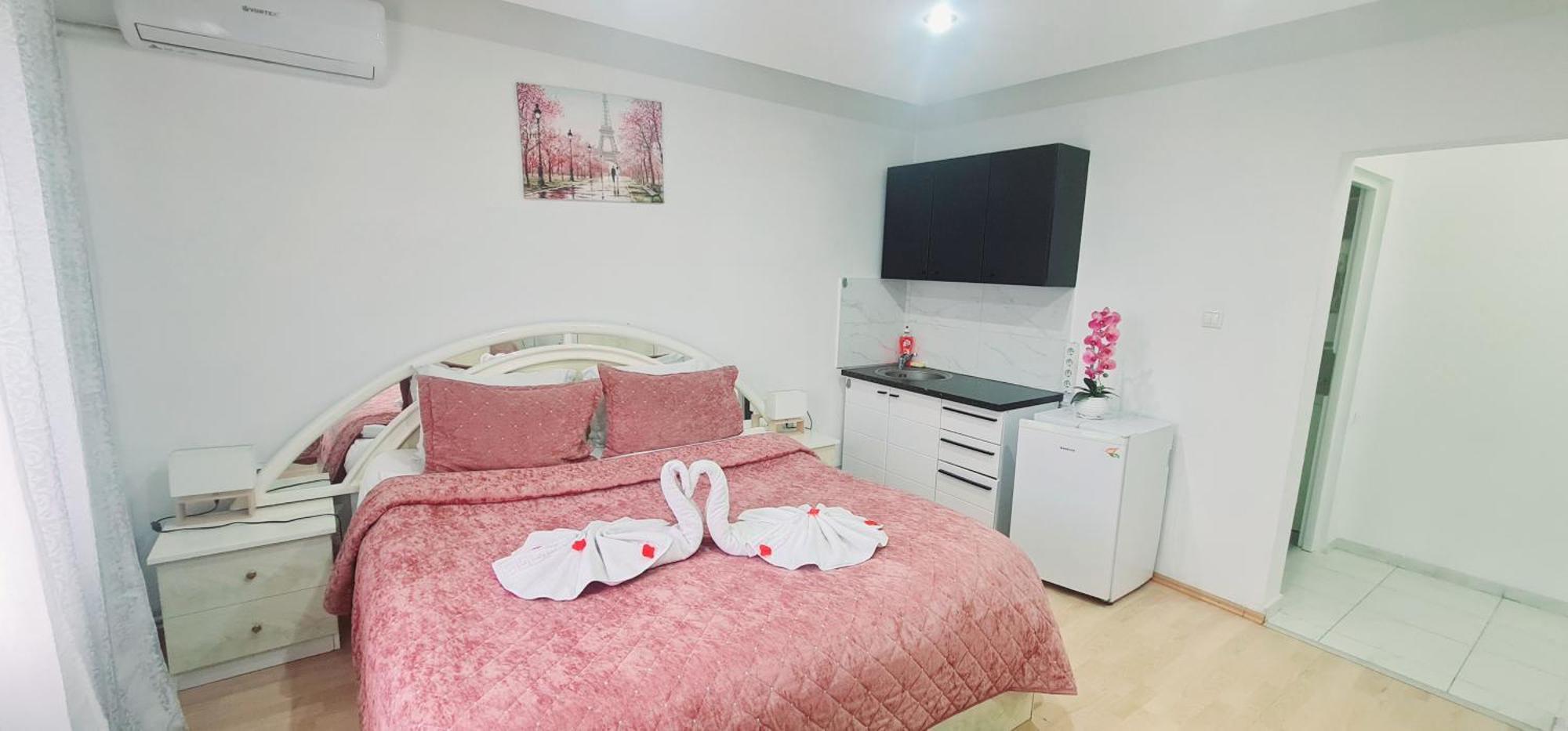 Pensiunea Red Rose Apartments Тимишоара Екстериор снимка