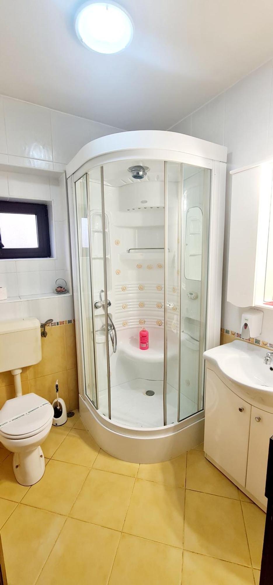 Pensiunea Red Rose Apartments Тимишоара Екстериор снимка