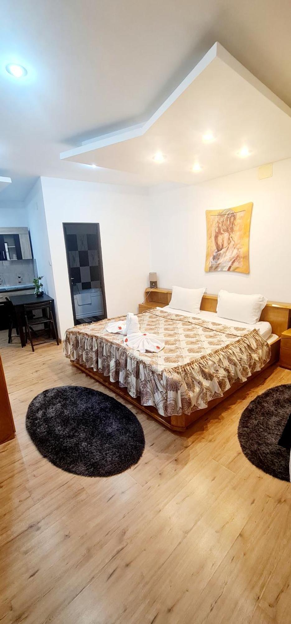 Pensiunea Red Rose Apartments Тимишоара Екстериор снимка